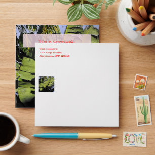 Tropical Leaves Envelopes