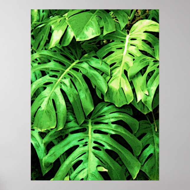 Tropical Leaves Splitleaf Philodendron, Dark Green Poster (Front)