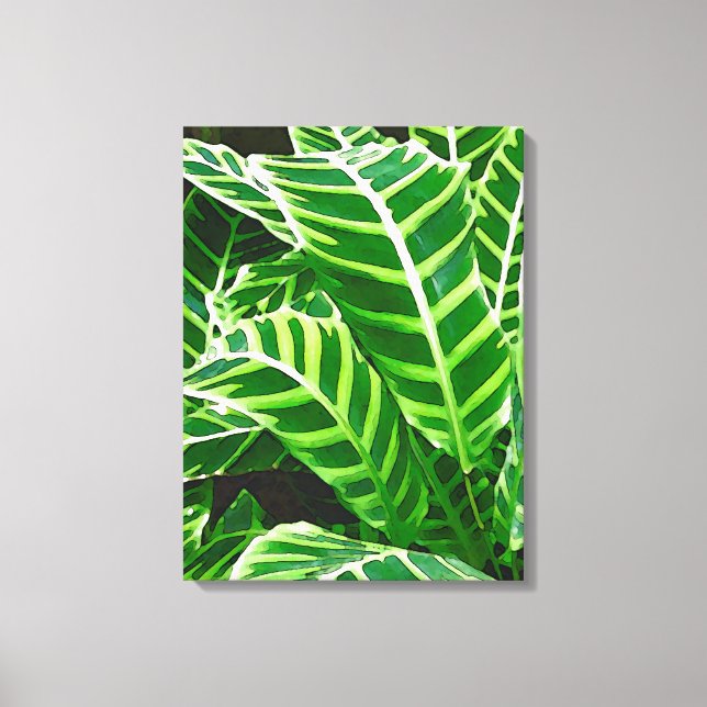 Tropical Leaves, Zebra Plant, Dark Green Canvas Print (Front)
