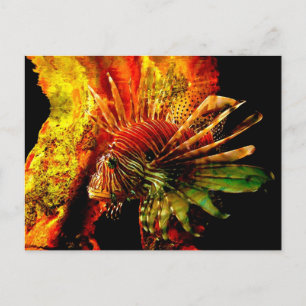 Tropical Lionfish Photo Art Postcard