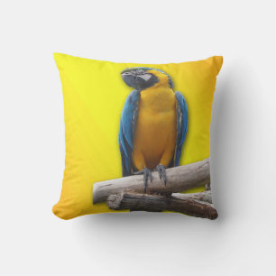 Tropical Macaw Cushion