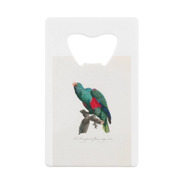tropical macaw parrot (Front)