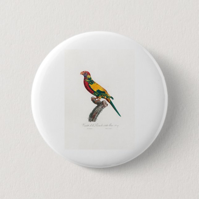 tropical macaw parrot 6 cm round badge (Front)