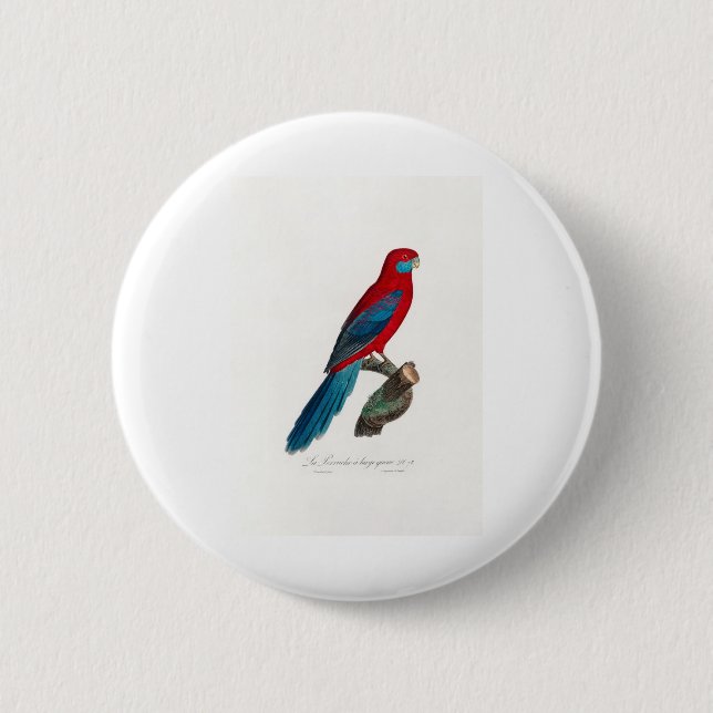 tropical macaw parrot 6 cm round badge (Front)