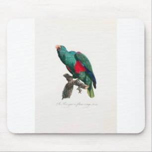 tropical macaw parrot mouse pad