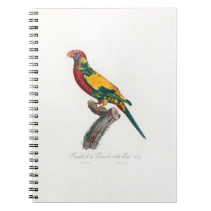 tropical macaw parrot notebook
