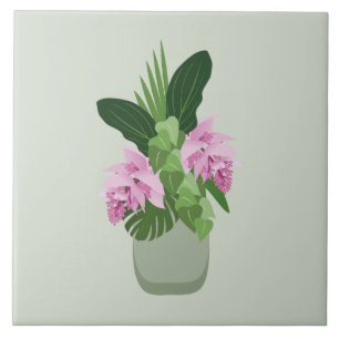 Tropical Medinilla Pink Flower in Green Vase Tile