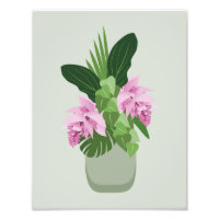 Tropical Medinilla Pink Flower in Vase on Green