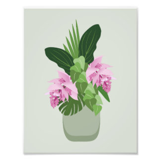 Tropical Medinilla Pink Flower in Vase on Green Photo Print
