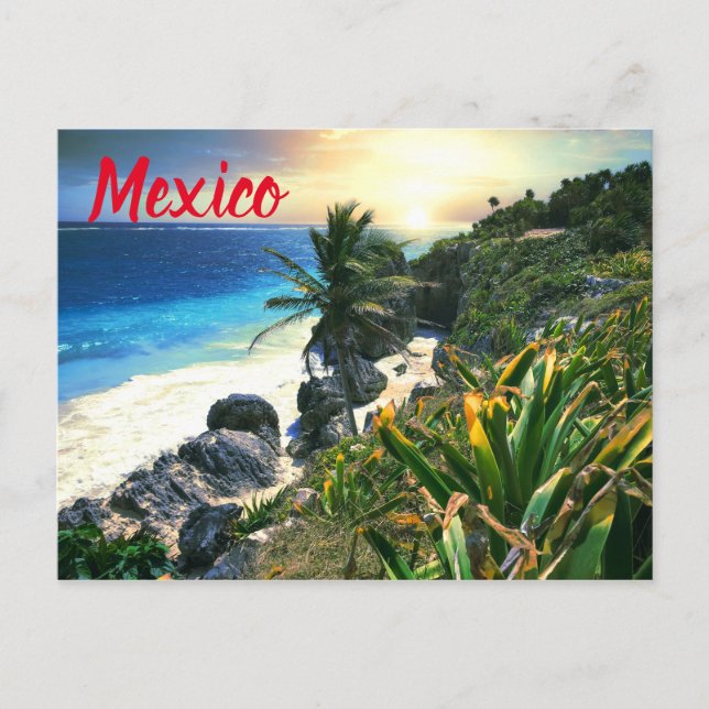Tropical Mexico Beach Shore Sunset Palm Island Postcard (Front)