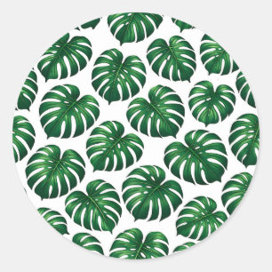 Tropical Monstera Leaf Pattern Classic Round Sticker