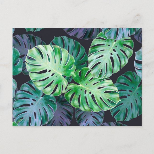 Tropical Monstera Leaves Postcard (Front)