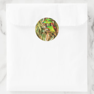 Tropical Nature Parrots Green Birds Classic Round Sticker