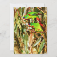 Tropical Nature Parrots Green Birds