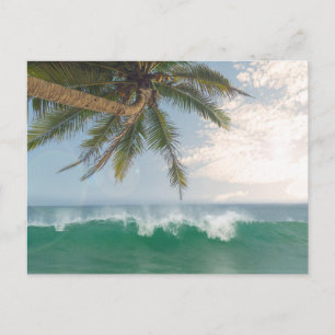 Tropical Ocean Wave and Coconut Palm Tree Holiday Postcard