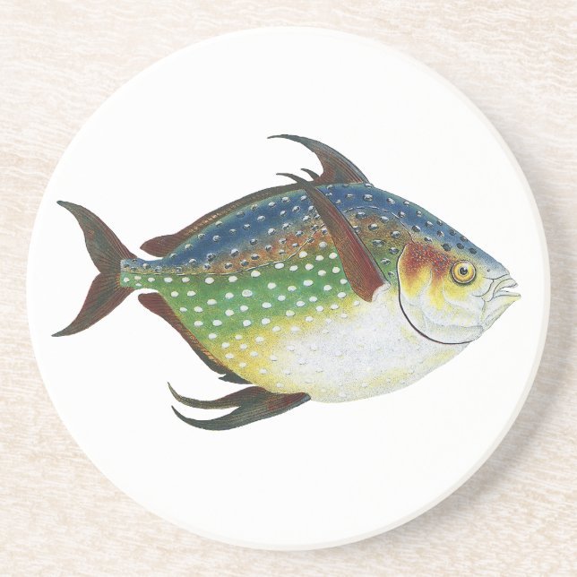Tropical Opah Fish, Vintage Marine Aquatic Animal Coaster (Front)