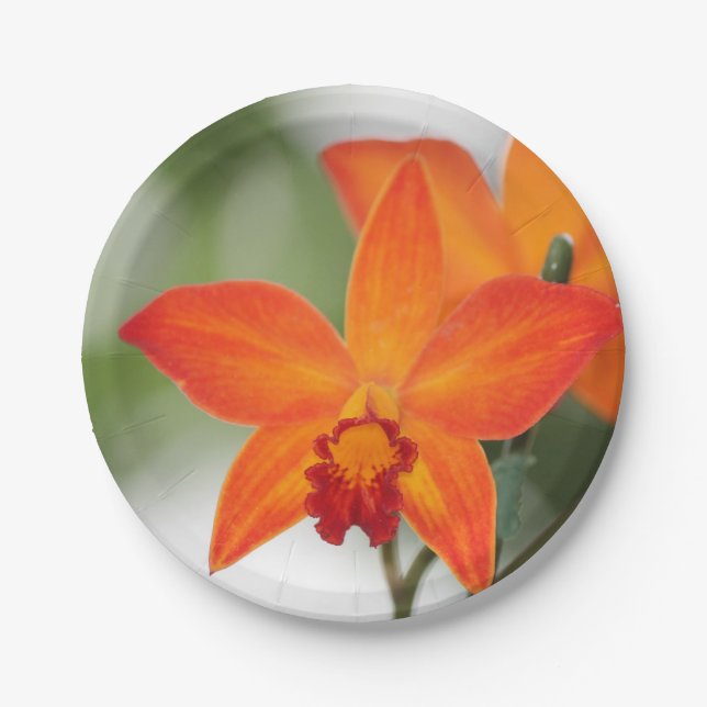 Tropical Orange Orchid Paper Plate (Front)