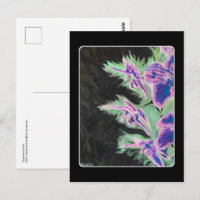'Tropical Orchid' Painting on a