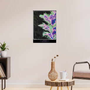 'Tropical Orchid' Painting on a  Poster