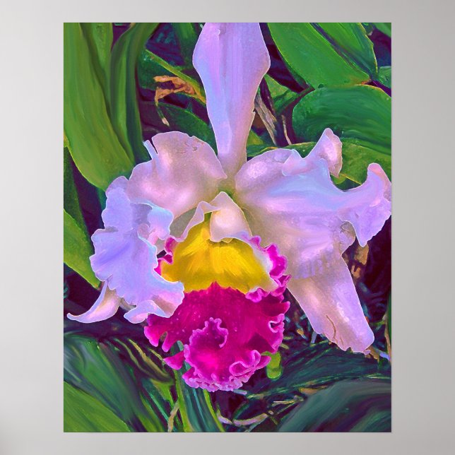 tropical orchid poster (Front)