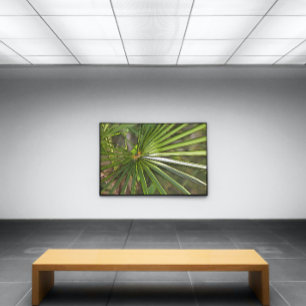 Tropical Palm Black Outline Art Canvas Print