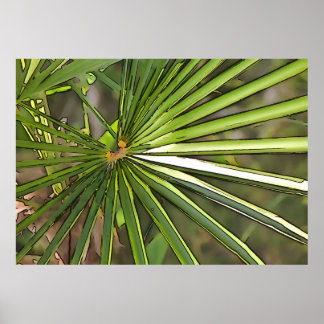 Tropical Palm Black Outline Art Poster