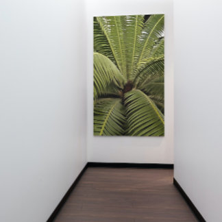 Tropical Palm Botanical Art Dioon Spinulosum Poster