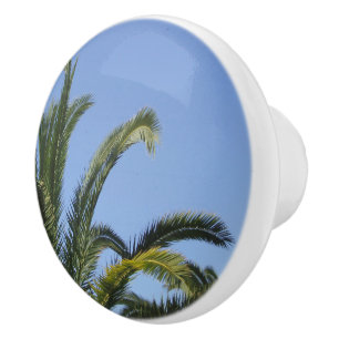 Tropical Palm Ceramic Knob