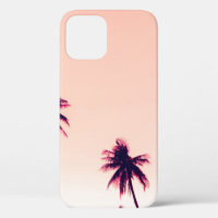 Tropical palm coconut trees on sunset sky nature b