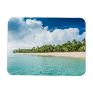 Tropical Palm Fringed Beach Magnet