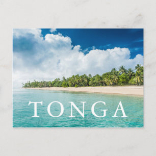 Tropical Palm Fringed Beach Postcard