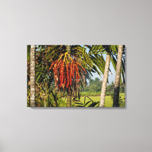 Tropical palm fruit - Canvas Wall ART