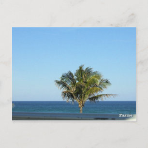 Tropical Palm Ocean Horizon Postcard Design