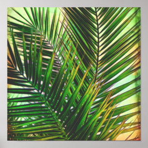tropical palm photo art poster shades of green