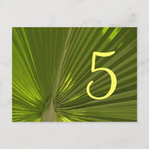 Tropical Palm Table Number Postcard