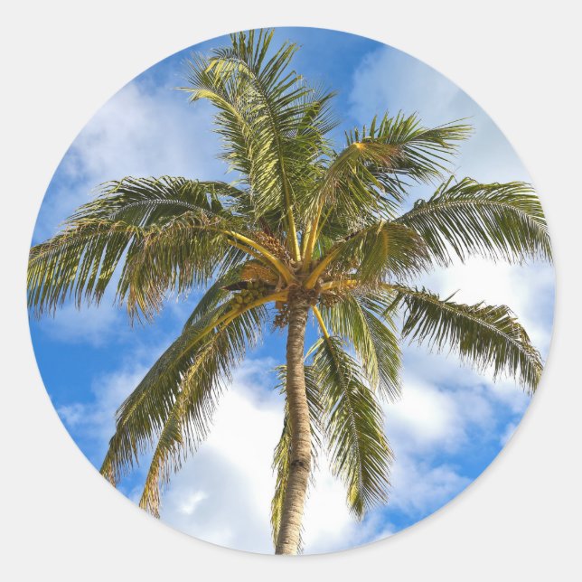 tropical palm tree and sky classic round sticker (Front)