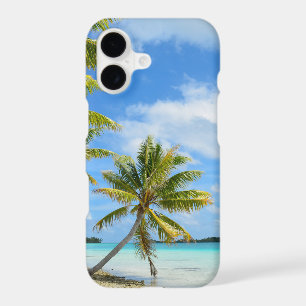 Tropical palm tree beach