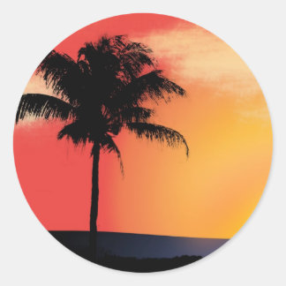 Tropical palm tree classic round sticker