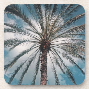 Tropical palm tree - coaster