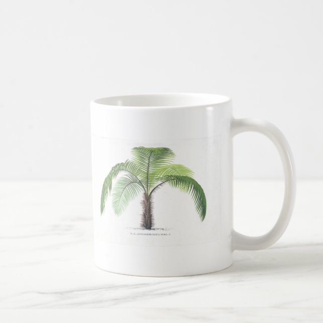 tropical palm tree collection - drawing VI Coffee Mug (Right)