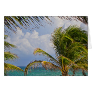 Tropical Palm Tree Framed
