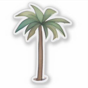 Tropical Palm Tree Illustration
