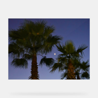 Tropical Palm Tree Wall Art Twilight Coastal Acrylic Sign