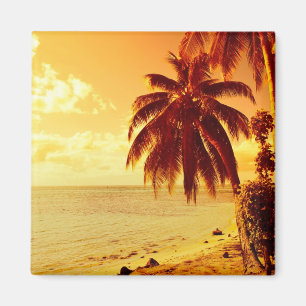 Tropical palm trees at a beach at sunset magnet