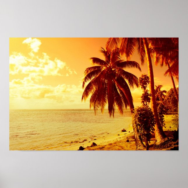 Tropical palm trees at a beach at sunset poster (Front)