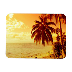 Tropical palm trees at sunset rectangular magnet