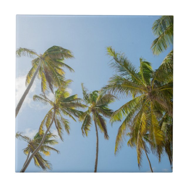 Tropical Palm Trees, Beach and vacation Style Tile (Front)
