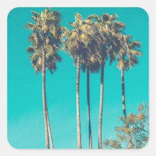 Tropical Palm Trees California Retro Square Sticker