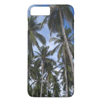 Tropical Palm Trees in Colour