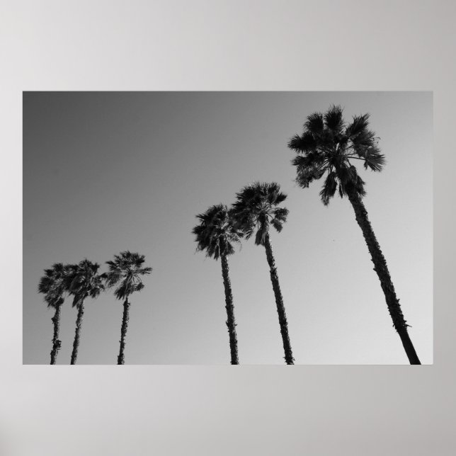 Tropical Palm Trees Poster,Print Poster (Front)